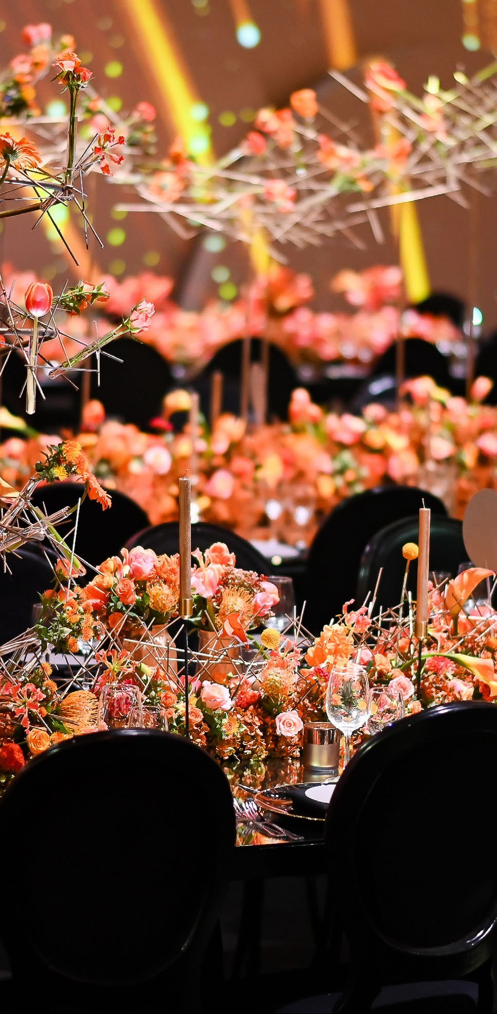 COMPANY PROFILE FINAL